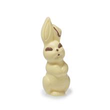 Lachhaas Klein Ingekleurd Wit