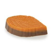 Herfstblad Klein oranje