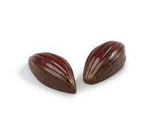 cocoa bean melk vegan/lactose vrij