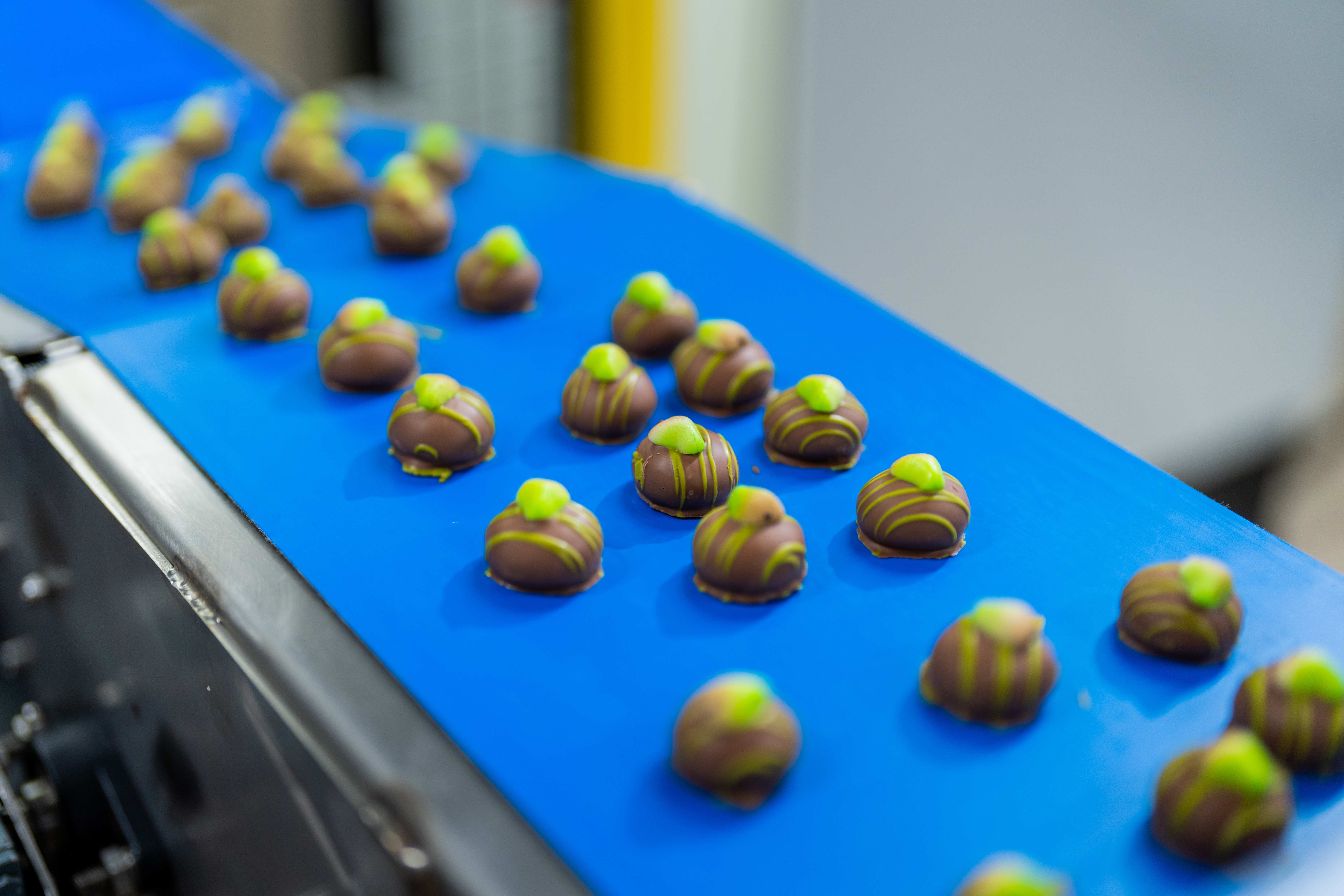 Een sfeerbeeld van een tropisch land waar cacao wordt verbouwd